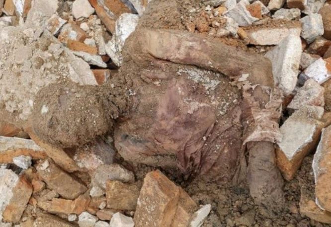 לאחר שנים:  נמצאה גופתו האבודה של שליט איראן