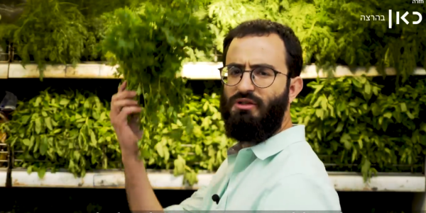 למה לאסור אכילת עגבניות בפסח זה רציונלי? צפו