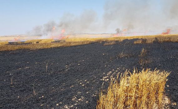 טרור העפיפונים: 100 דונם חיטה עלה באש