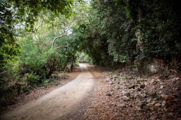 מסעדה נוספת בגליל הופכת לכשרה וסוגרת בשבת