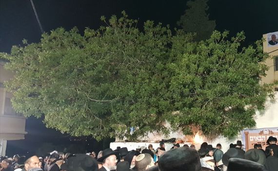 אחת הכניסות הגדולות לקבר יהושע בן נון