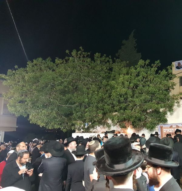 אחת הכניסות הגדולות לקבר יהושע בן נון