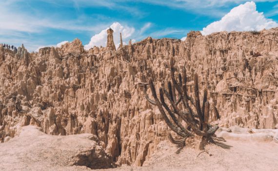 טרגדיה בבוליביה: ישראלי נהרג בתאונת טרקטורון