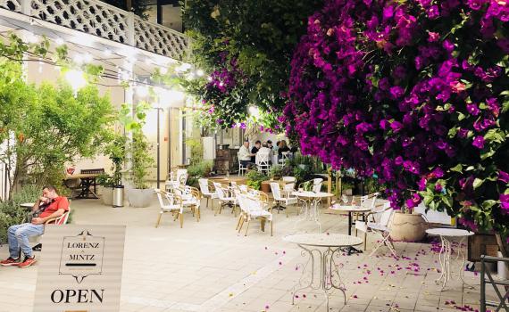 אלופת הארץ בעוגות גבינה | ביקורת מסעדות