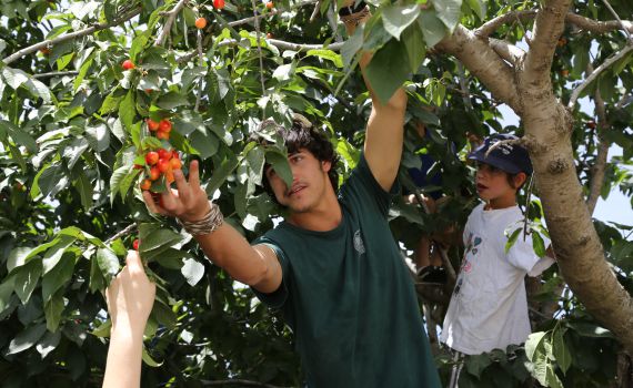 הפסטיבל שהוא הדובדבן שבקצפת בגוש עציון