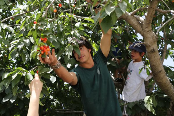 הפסטיבל שהוא הדובדבן שבקצפת בגוש עציון