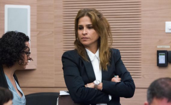 "נדהמתי": ח"כ בן ארי נגד דיון שנערך בכנסת