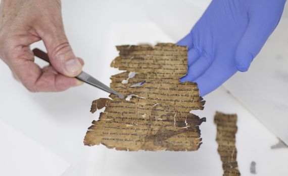 תגלית דרמטית: כתב סודי נחשף במגילות הגנוזות•צפו