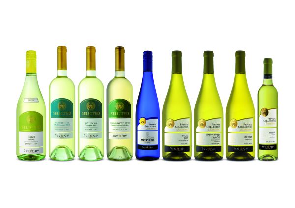 אור רייכרט ממליץ לכם על יינות לשבועות