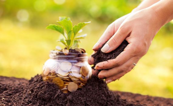 מי שרוצה לקצור הצלחה חייב לדעת איך להשקיע