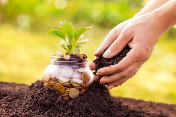 מי שרוצה לקצור הצלחה חייב לדעת איך להשקיע