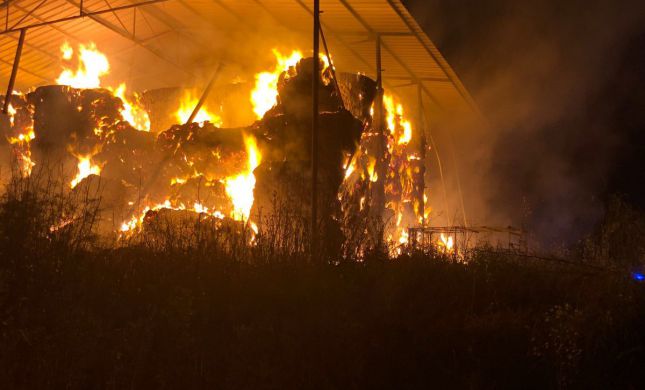  טרור חקלאי בצפון: 350 ערמות חציר הוצתו הלילה