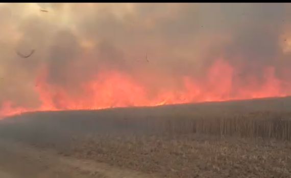 חמאס נכנע ללחץ: שיגור עפיפוני התבערה יופסק