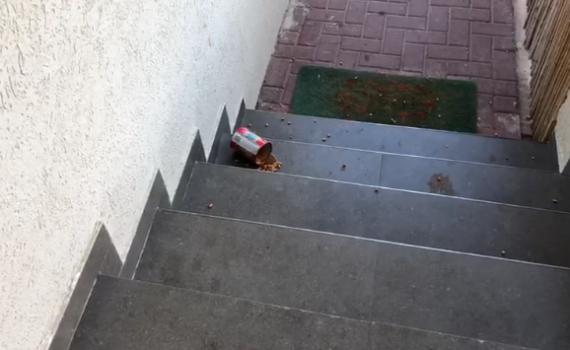 איתן כבל: זה מה שזרקו הלילה על הבית שלי. צפו