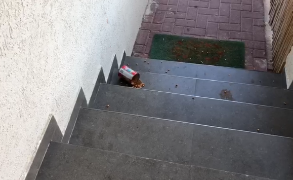 איתן כבל: זה מה שזרקו הלילה על הבית שלי. צפו