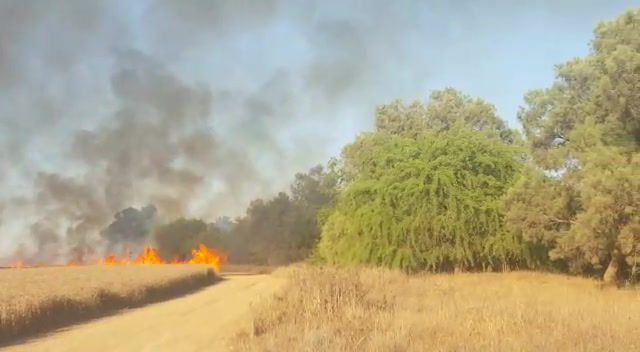תיעוד: עפיפון התבערה שהגיע הכי רחוק עד היום