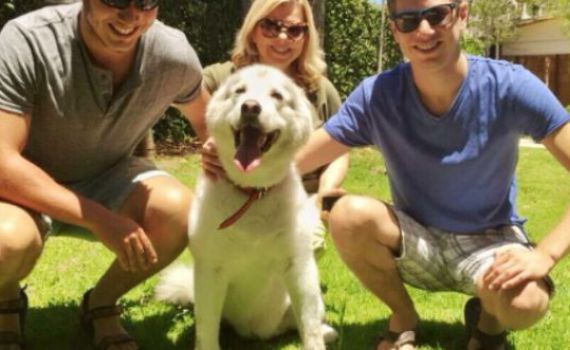 יאיר נתניהו לא לבד: הזמר שהסתבך בגלל הכלבה שלו