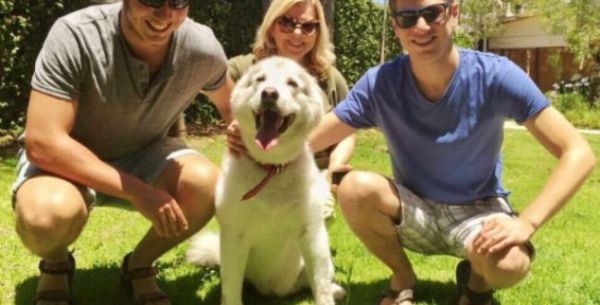 יאיר נתניהו לא לבד: הזמר שהסתבך בגלל הכלבה שלו