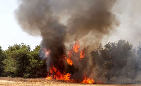 טרור העפיפונים הכה קשות בשבת; צה"ל תקף בעזה
