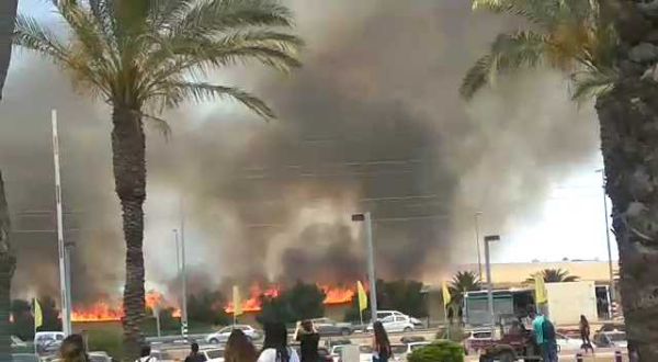 מזעזע: שדות החיטה בוערים מול מכללת ספיר. צפו