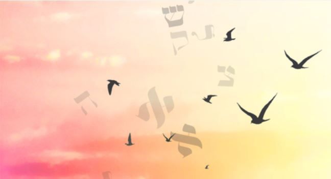 בטוחים שאנחנו יודעים הכל ואז מבינים שזה בידיים שלו