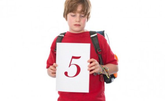 הוראות שימוש לפני פתיחת התעודות