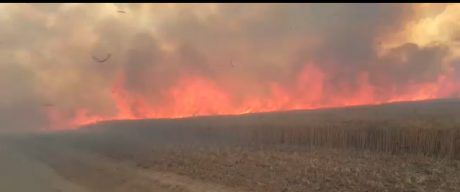 קטסטרופה בדרום: 9 שריפות במקביל בעוטף עזה
