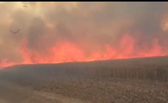 קטסטרופה בדרום: 9 שריפות במקביל בעוטף עזה