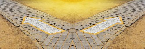 ביום בו כבר לא נהיה עם אחד