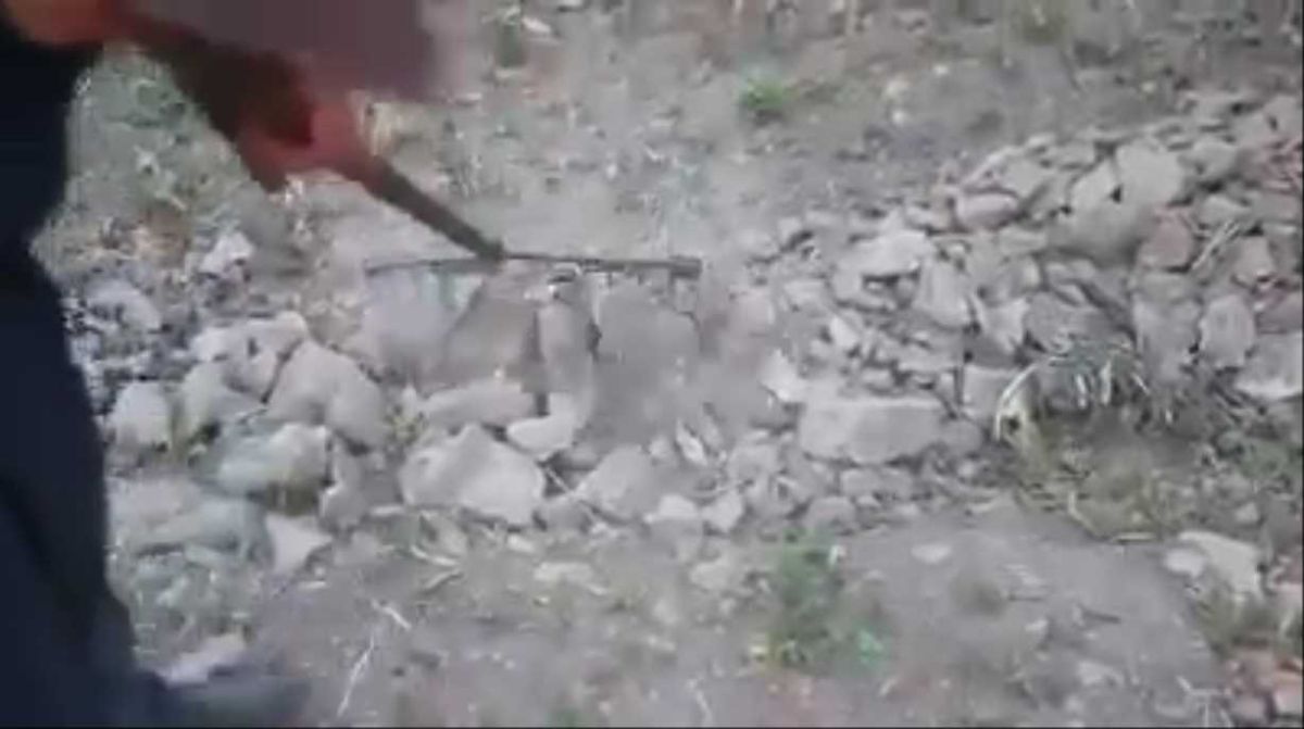 חרפה: ערבים בונים טרסות משרידי בית המקדש