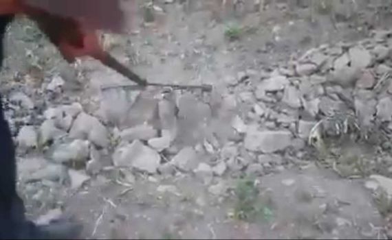 חרפה: ערבים בונים טרסות משרידי בית המקדש