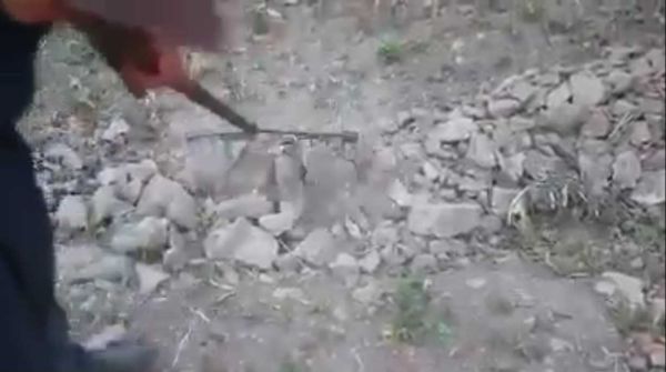 חרפה: ערבים בונים טרסות משרידי בית המקדש