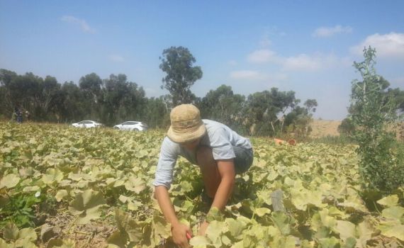 "כואב הלב לראות את כל השרוף מסביבנו"