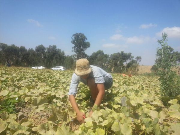"כואב הלב לראות את כל השרוף מסביבנו"