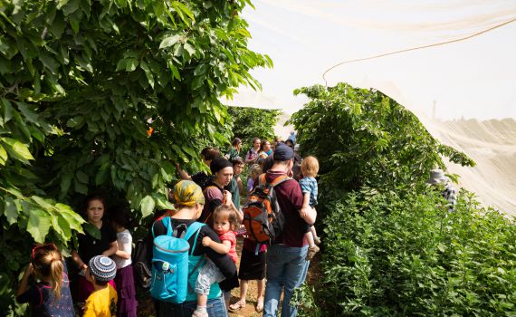 גלריה: עשרת אלפים איש בפסטיבל הדובדבנים