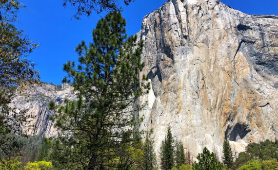 טרגדיה בארה"ב: טיפסו על צוק- ונפלו אל מותם