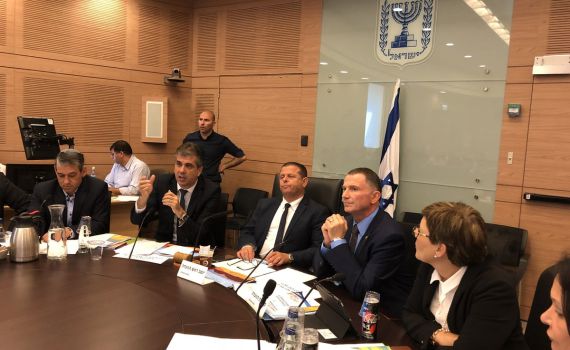 אדלשטיין בא לפקח: השרים הציגו תכניות עבודה