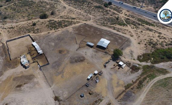 לאחר 7 שנים, יפונו ערבים שפלשו לקרקע ליד בנימינה