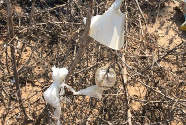 הגננת: "אמרנו שיר למעלות ופינינו את כל הילדים"