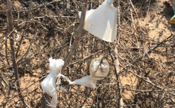 הגננת: "אמרנו שיר למעלות ופינינו את כל הילדים"