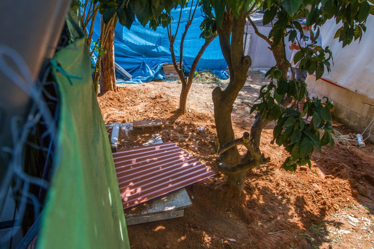 התפתחות דרמטית: פוענח רצח אופירה חיים