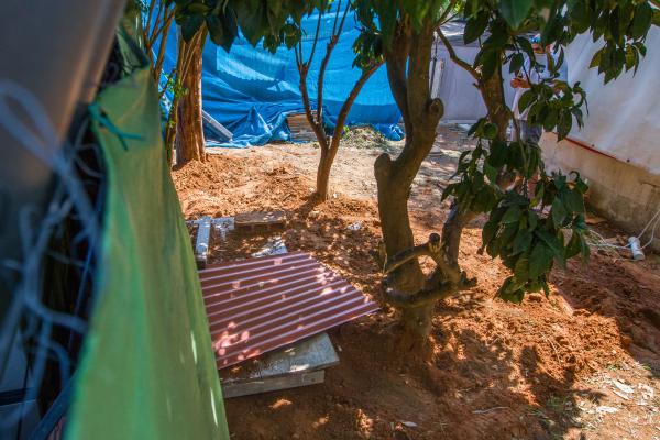 התפתחות דרמטית: פוענח רצח אופירה חיים