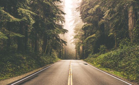 הדרך או היעד; מה יותר חשוב לכם?