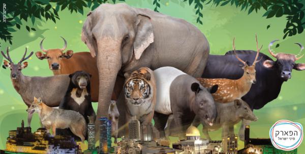 דווקא לא בקטן: הפנינג ענק במיני ישראל לכל המשפחה