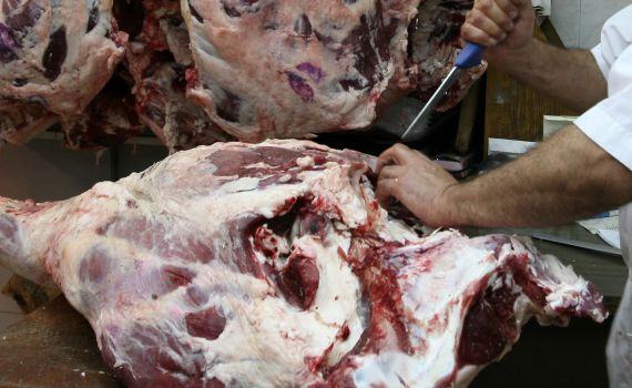 תאונה במשחטה: פועל מעד על סכין קצבים ונהרג