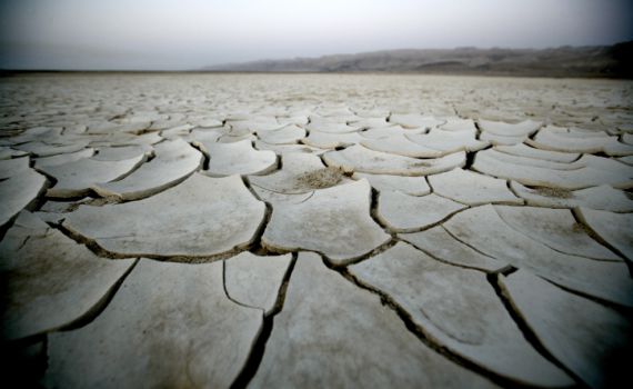החקלאים יפוצו: שר האוצר הכריז על שנת בצורת בנגב