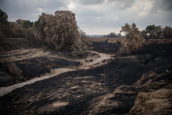 סוף סוף: התגובה של נתניהו לטרור העפיפונים