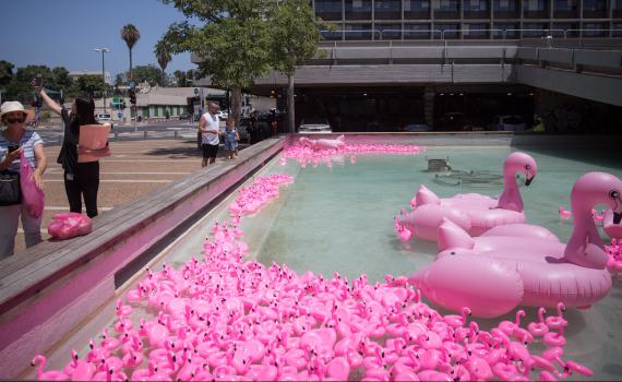 מי הציף את מזרקת כיכר רבין בפלמינגו?