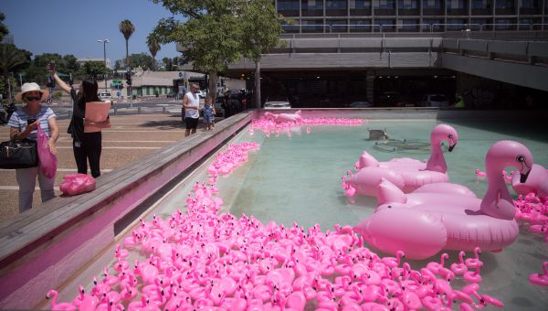 מי הציף את מזרקת כיכר רבין בפלמינגו?
