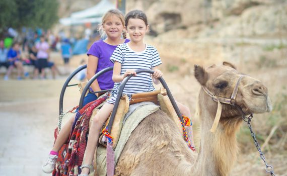 ללא תשלום: 5 מקומות ששווה לבקר בהם השבוע